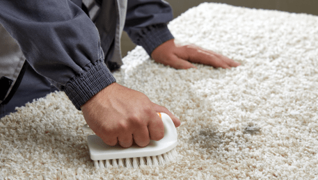 Professional Rug Cleaning Clarkes Hill